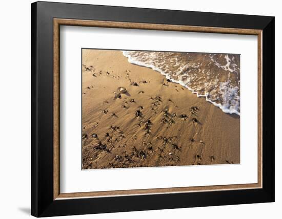 Baltic Sea, Winter-Catharina Lux-Framed Photographic Print