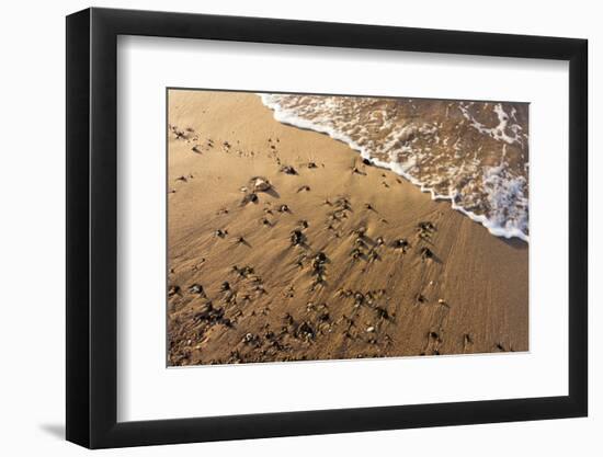 Baltic Sea, Winter-Catharina Lux-Framed Photographic Print