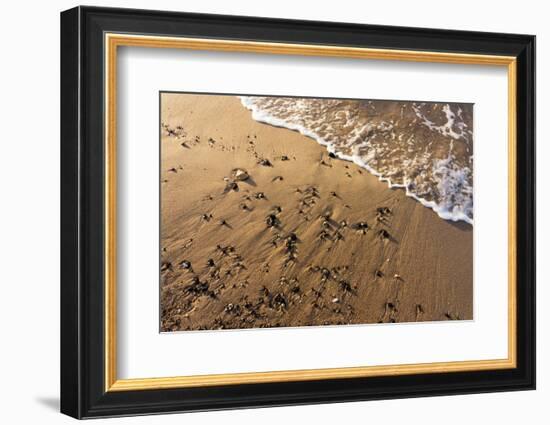 Baltic Sea, Winter-Catharina Lux-Framed Photographic Print