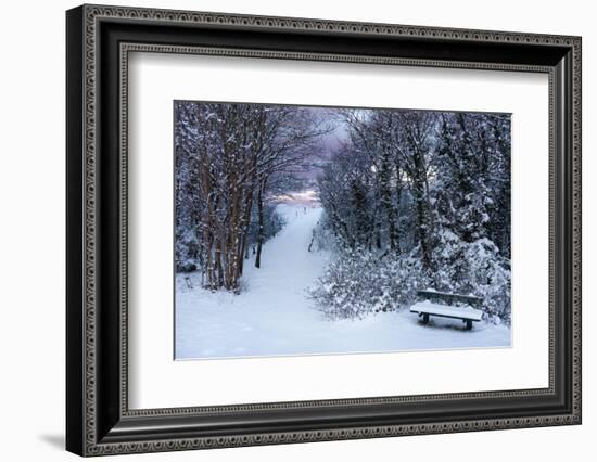 Baltic Sea, Winter-Catharina Lux-Framed Photographic Print