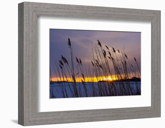 Baltic Sea, Winter-Catharina Lux-Framed Photographic Print