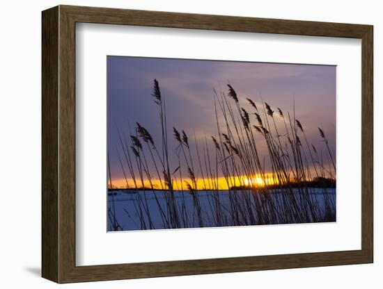 Baltic Sea, Winter-Catharina Lux-Framed Photographic Print