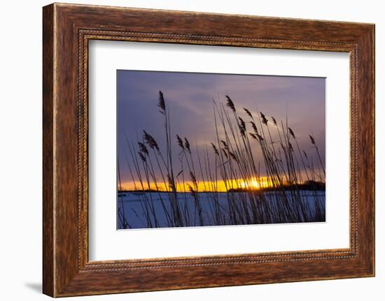 Baltic Sea, Winter-Catharina Lux-Framed Photographic Print