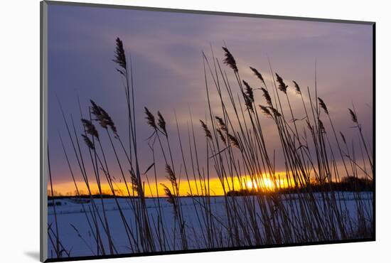 Baltic Sea, Winter-Catharina Lux-Mounted Photographic Print