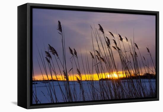 Baltic Sea, Winter-Catharina Lux-Framed Premier Image Canvas