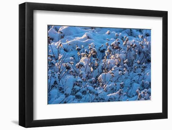 Baltic Sea, Winter-Catharina Lux-Framed Photographic Print