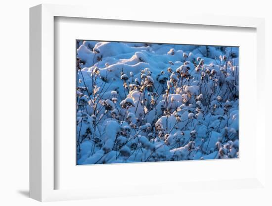 Baltic Sea, Winter-Catharina Lux-Framed Photographic Print