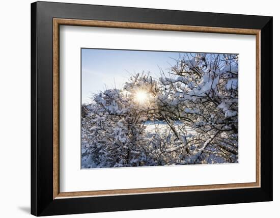 Baltic Sea, Winter-Catharina Lux-Framed Photographic Print