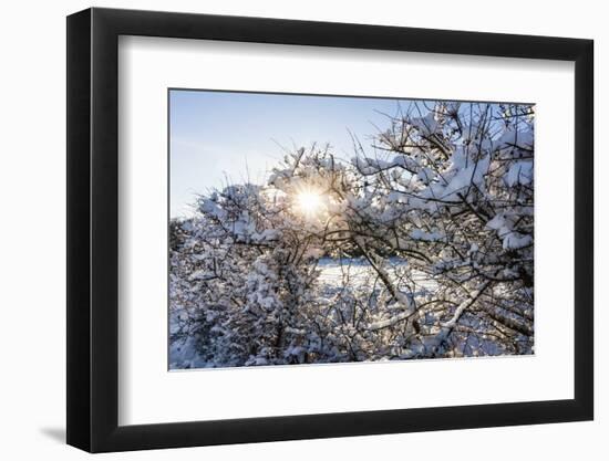 Baltic Sea, Winter-Catharina Lux-Framed Photographic Print