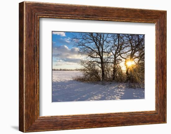 Baltic Sea, Winter-Catharina Lux-Framed Photographic Print