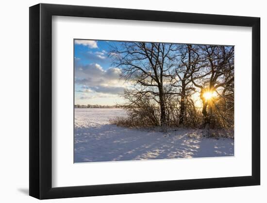 Baltic Sea, Winter-Catharina Lux-Framed Photographic Print