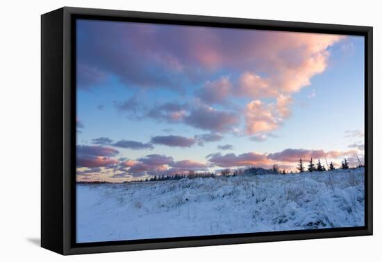 Baltic Sea, Winter-Catharina Lux-Framed Premier Image Canvas