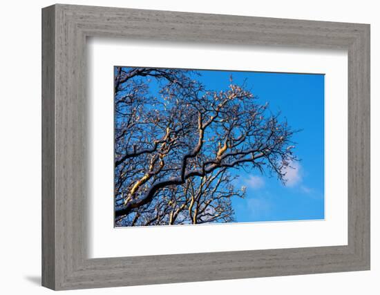 Baltic Sea, Winter-Catharina Lux-Framed Photographic Print