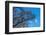 Baltic Sea, Winter-Catharina Lux-Framed Photographic Print