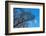 Baltic Sea, Winter-Catharina Lux-Framed Photographic Print