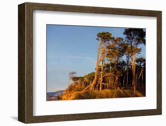 Baltic Sea, Winter-Catharina Lux-Framed Photographic Print