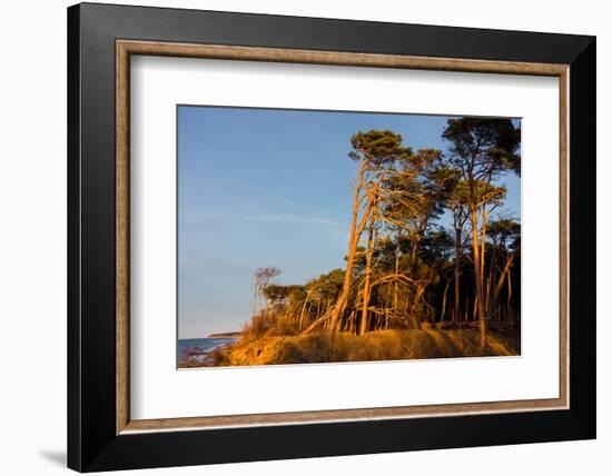 Baltic Sea, Winter-Catharina Lux-Framed Photographic Print