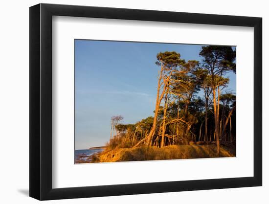 Baltic Sea, Winter-Catharina Lux-Framed Photographic Print