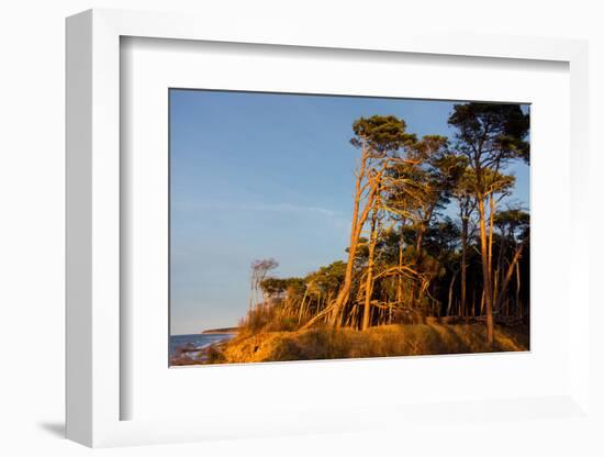 Baltic Sea, Winter-Catharina Lux-Framed Photographic Print