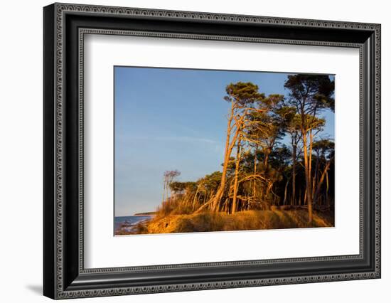 Baltic Sea, Winter-Catharina Lux-Framed Photographic Print