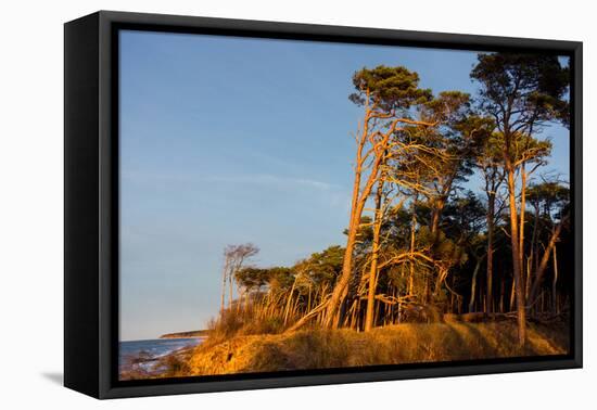 Baltic Sea, Winter-Catharina Lux-Framed Premier Image Canvas