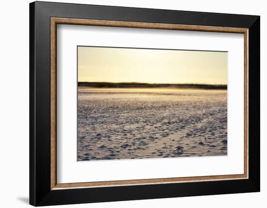 Baltic Sea, Winter-Catharina Lux-Framed Photographic Print