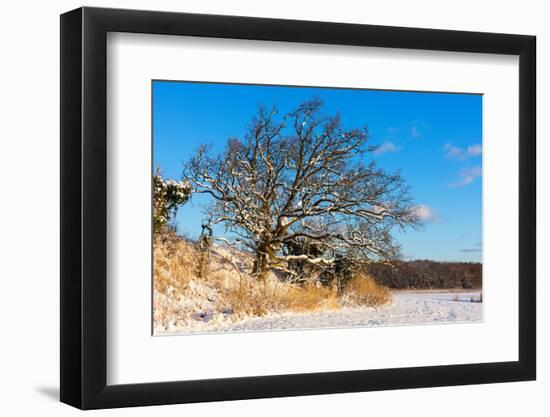 Baltic Sea, Winter-Catharina Lux-Framed Photographic Print