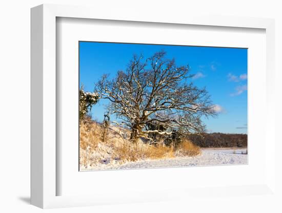 Baltic Sea, Winter-Catharina Lux-Framed Photographic Print