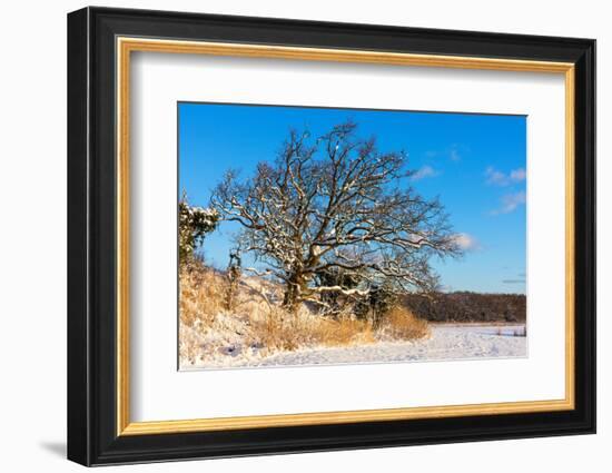 Baltic Sea, Winter-Catharina Lux-Framed Photographic Print