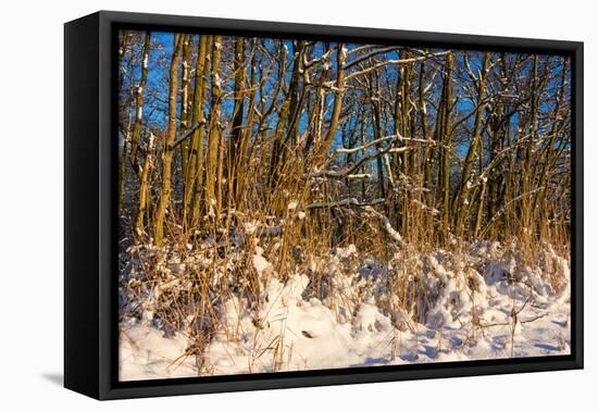 Baltic Sea, Winter-Catharina Lux-Framed Premier Image Canvas