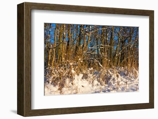 Baltic Sea, Winter-Catharina Lux-Framed Photographic Print