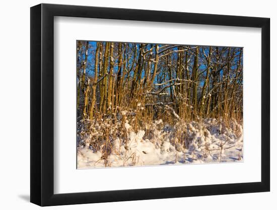 Baltic Sea, Winter-Catharina Lux-Framed Photographic Print