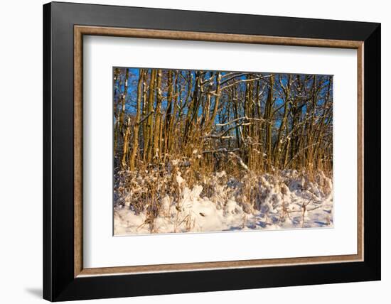 Baltic Sea, Winter-Catharina Lux-Framed Photographic Print