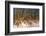 Baltic Sea, Winter-Catharina Lux-Framed Photographic Print