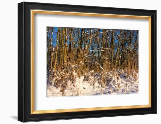 Baltic Sea, Winter-Catharina Lux-Framed Photographic Print