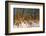 Baltic Sea, Winter-Catharina Lux-Framed Photographic Print