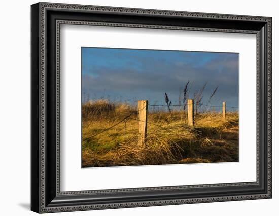 Baltic Sea-Catharina Lux-Framed Photographic Print