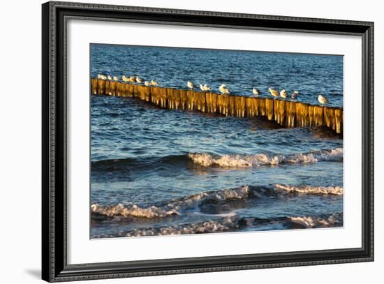 Baltic Sea-Catharina Lux-Framed Photographic Print