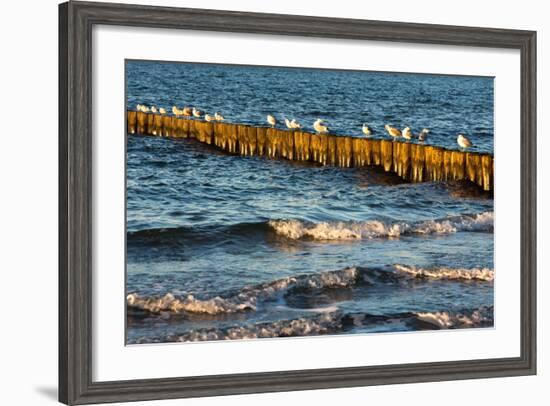 Baltic Sea-Catharina Lux-Framed Photographic Print