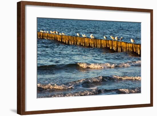 Baltic Sea-Catharina Lux-Framed Photographic Print