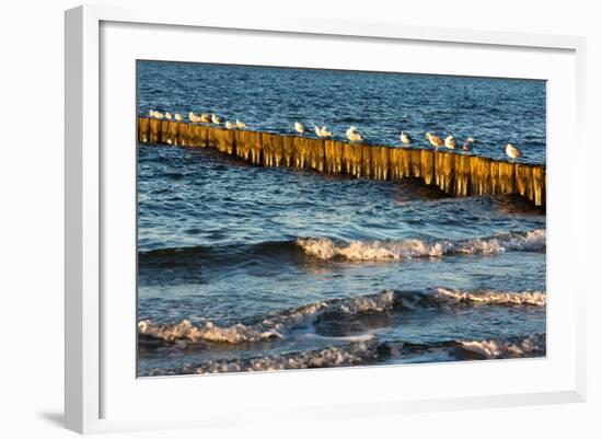 Baltic Sea-Catharina Lux-Framed Photographic Print