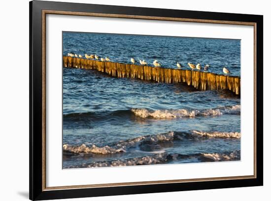 Baltic Sea-Catharina Lux-Framed Photographic Print