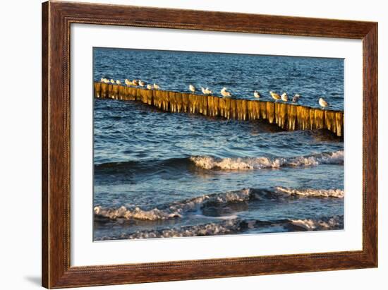 Baltic Sea-Catharina Lux-Framed Photographic Print