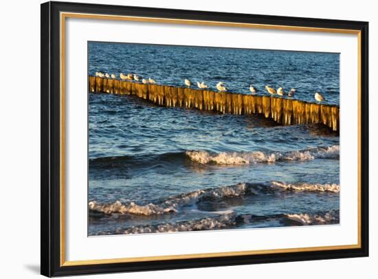 Baltic Sea-Catharina Lux-Framed Photographic Print