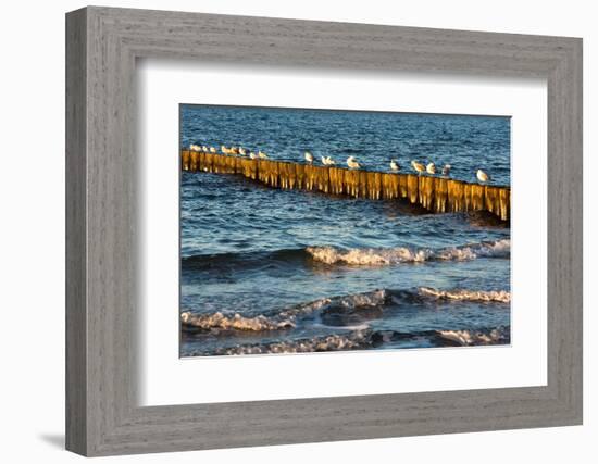 Baltic Sea-Catharina Lux-Framed Photographic Print