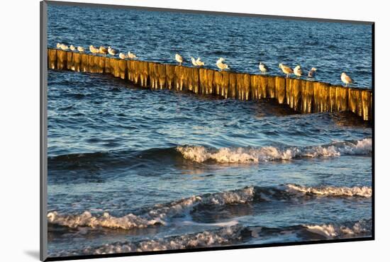 Baltic Sea-Catharina Lux-Mounted Photographic Print