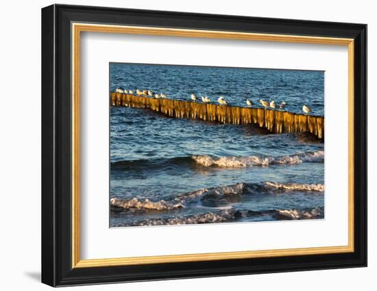 Baltic Sea-Catharina Lux-Framed Photographic Print