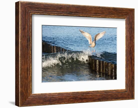 Baltic Sea-Catharina Lux-Framed Photographic Print