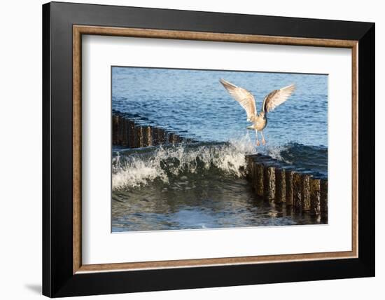 Baltic Sea-Catharina Lux-Framed Photographic Print