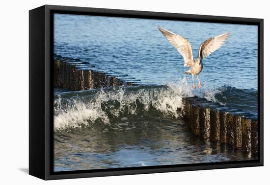 Baltic Sea-Catharina Lux-Framed Premier Image Canvas